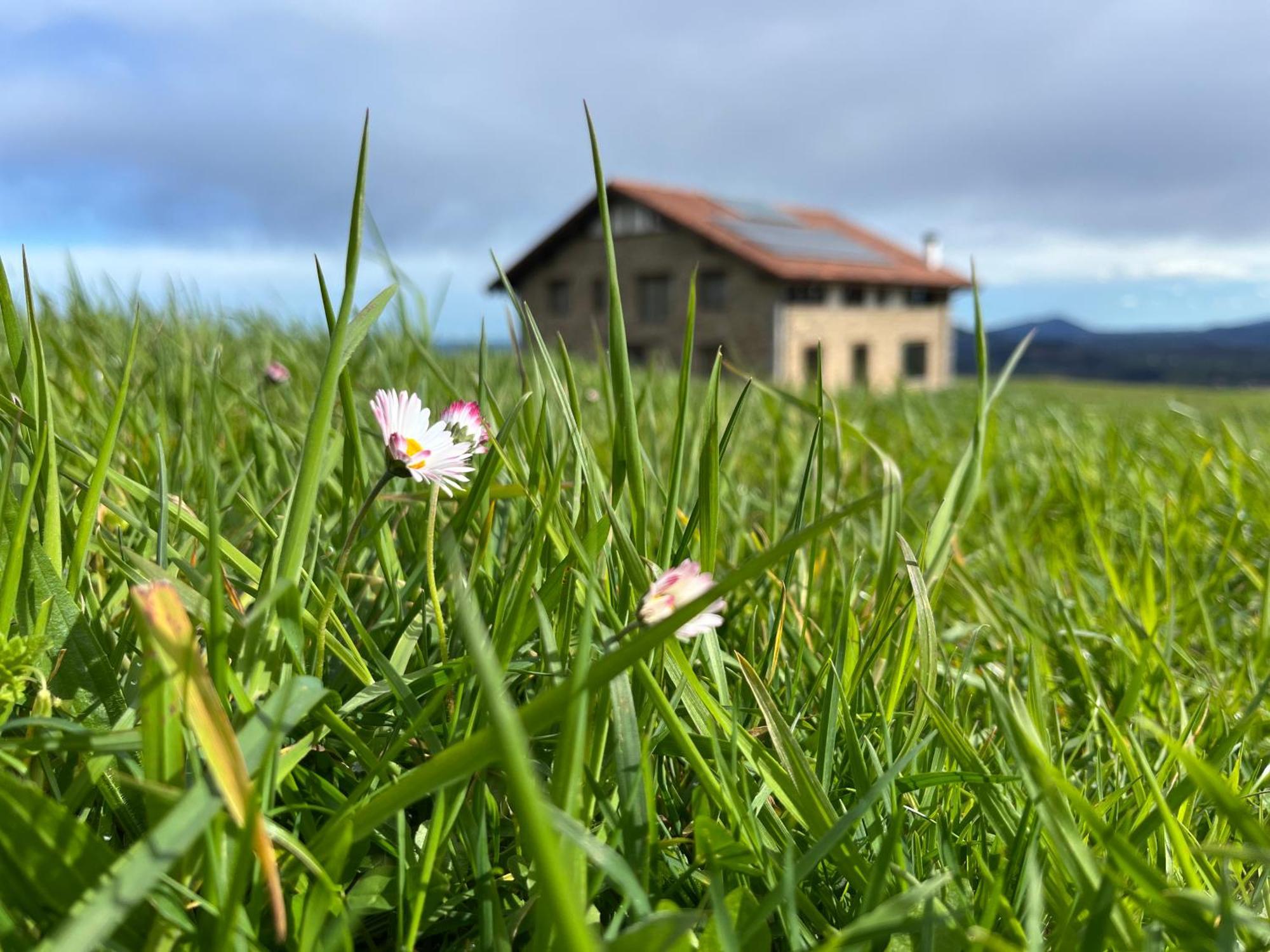 Caserio Bizkar Aia